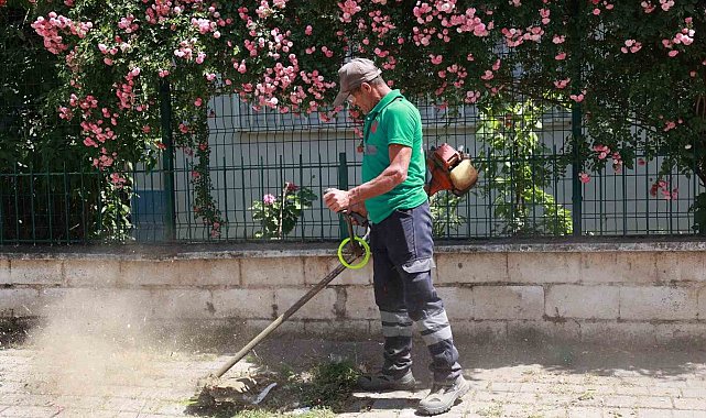 Yedieylül Mahallesi şehir hayatına geri döndü