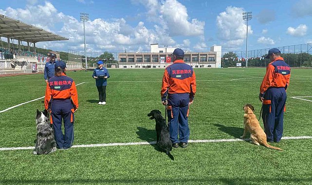 9 ülkeden 27 arama kurtarma köpeği İstanbul'daki şampiyonada yarıştı