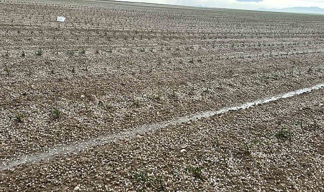Aksaray'da sağanak ve dolu tarım arazilerini vurdu