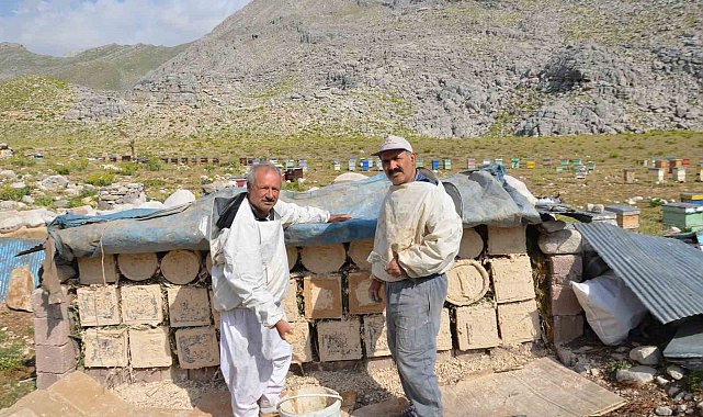Antalya'da arıcılar kara kovanlarını yüksek kesimlerdeki yaylalara çıkardı