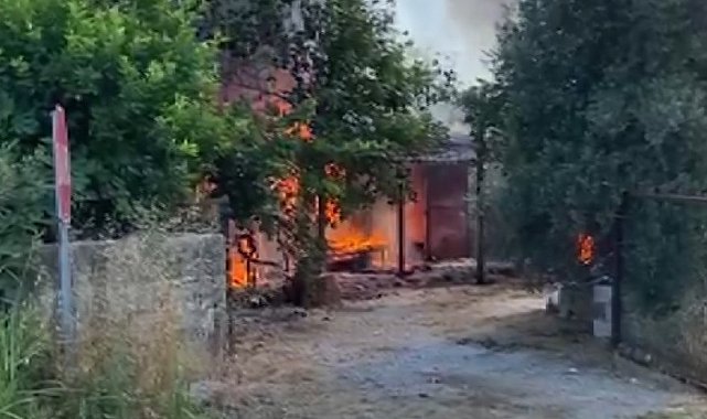 Antalya'da çıkan yangında ev ve traktör kül oldu