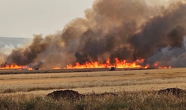 Araban Ovası'nda 8 ayrı noktada 2 bin dönüm ekili alan yandı
