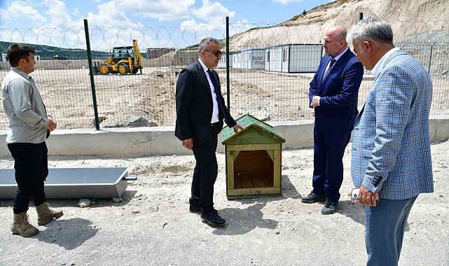 Ardahan'da sahipsiz hayvanlara yeni bir yuva
