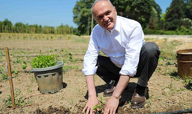 Ata tohumları toprakla buluştu