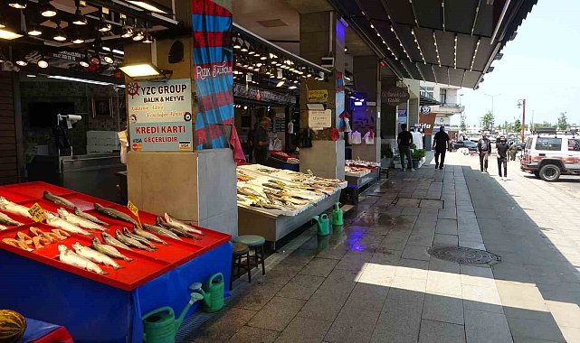 Balık hali sessizliğe büründü