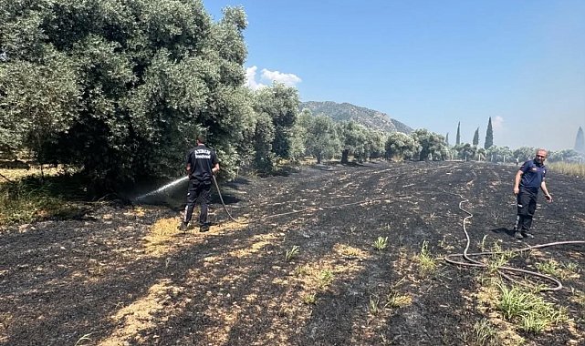 Başkan Kaya'dan yangın uyarısı: "Açık alanlarda ateş yakmayın"