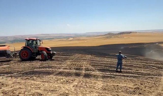 Batman'da buğday tarlasında yangın: 200 dönüm alan küle döndü