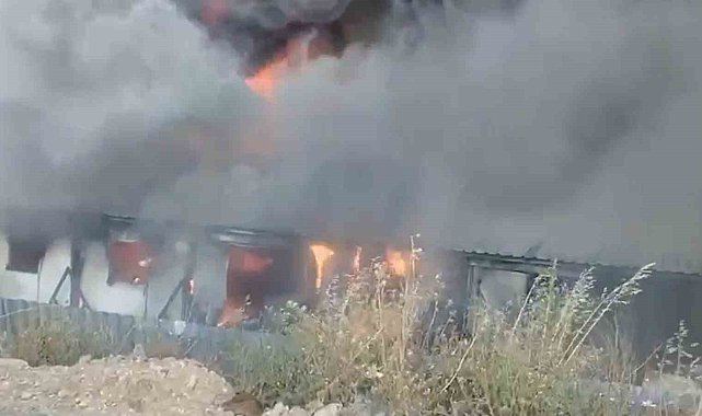 Bodrum'da işçilerin kaldığı konteynerlerde yangın çıktı