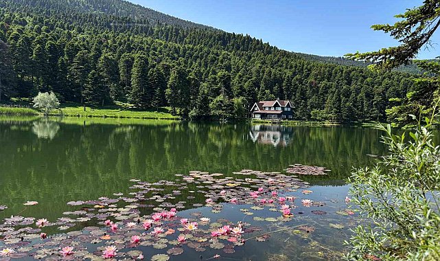 Bolu'da yangın riskine karşı ormanlık alanlara giriş yasaklandı