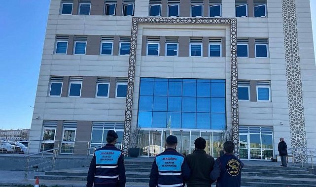 Çanakkale'de 11 orman yangınıyla ilgili 6 şüpheli gözaltına alındı