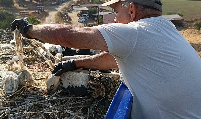 Çevre kirliliği, yaz göçmenlerini tehdit ediyor