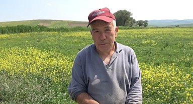 Çiftçiler, zararlı bitkiye karşı önlem almaya başladı