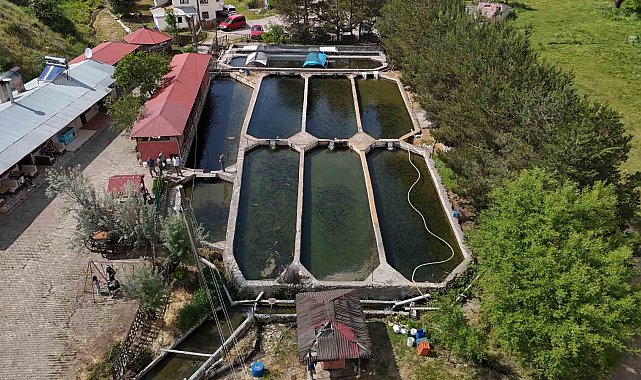 Denize kıyısı olmayan Sivas'ta üretilen balıklar dünyaya pazarlanıyor
