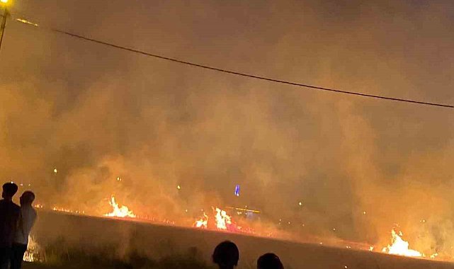 Diyarbakır'da 40 dönüm buğday yangında küle döndü