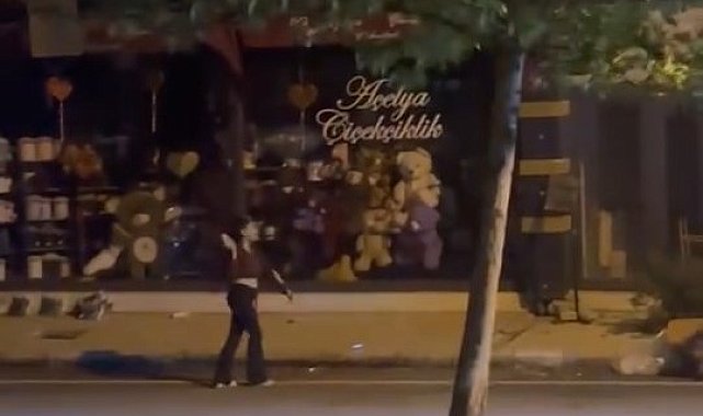 Elazığ'da kadın, bir iş yerine taşla saldırdı