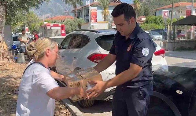 Fethiye'de otomobilde sıkışan yavru kedi kurtarıldı
