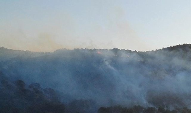 Hatay'da çıkan orman yangını kontrol altına alındı