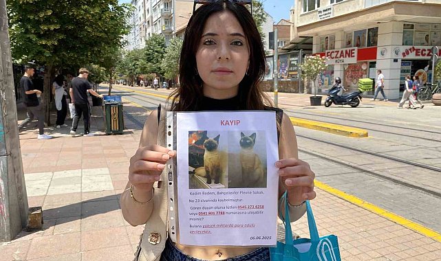 Herkes bayramı kutlarken o sokak sokak kayıp kedisini aradı