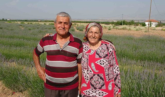 İnternetten gördüler, lavanta üreticisi oldular