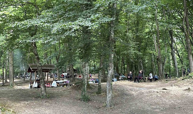 İstanbullular Kurban Bayramı'nın 2'nci gününde Belgrad Ormanı'na akın etti