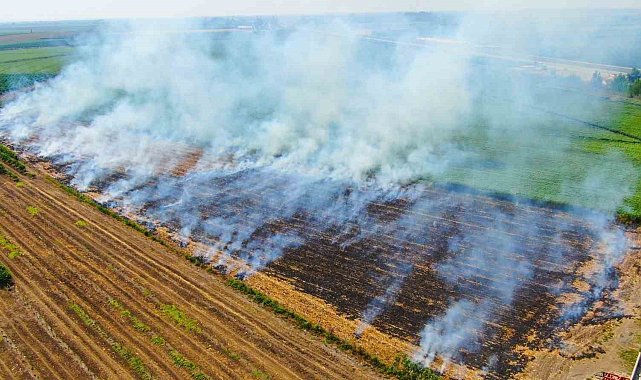 Karacasu Kaymakamlığı'ndan anız uyarısı