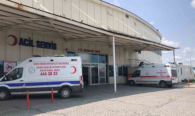 Kars'ta acemi kasaplar kendileri kesti