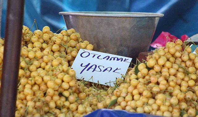 Kiraz Festivali'nde tezgahlardaki 'otlamak yasaktır' yazısı tepki çekti