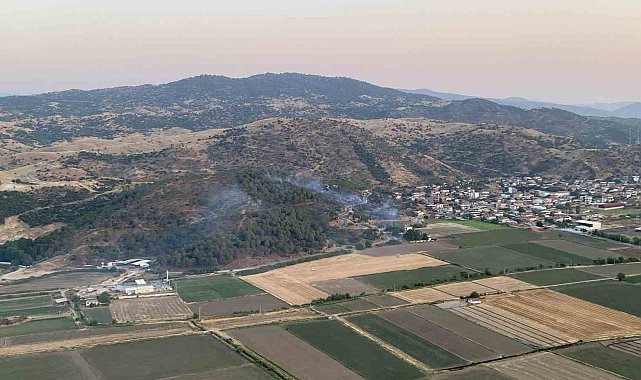 Koçarlı'daki orman yangını kontrol altına alındı