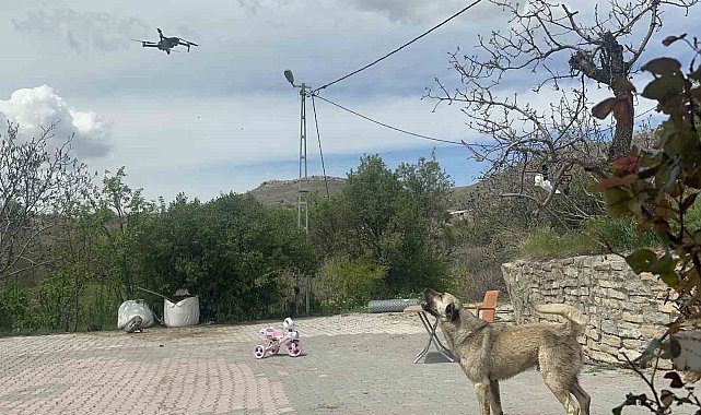 Köpeğin dron ile imtihanı gülümsetti