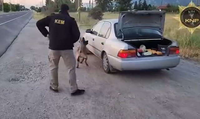 Kütahya'da uyuşturucu operasyonunda Thor'un başarısı: 2 tutuklama