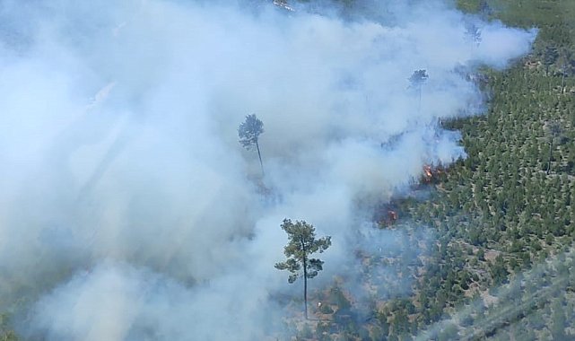 Manisa'da çıkan orman yangınına müdahale devam ediyor