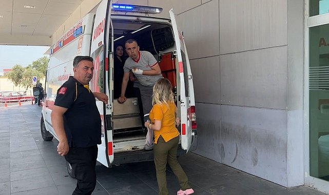 Manzara bu yıl da değişmedi, acemi kasaplar hastanelere koştu