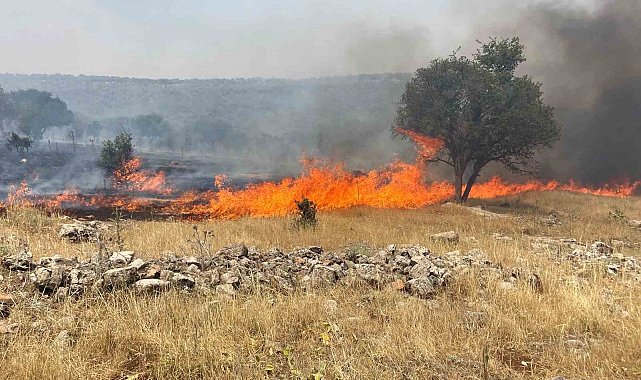 Mardin'de alevler yeniden yükseldi