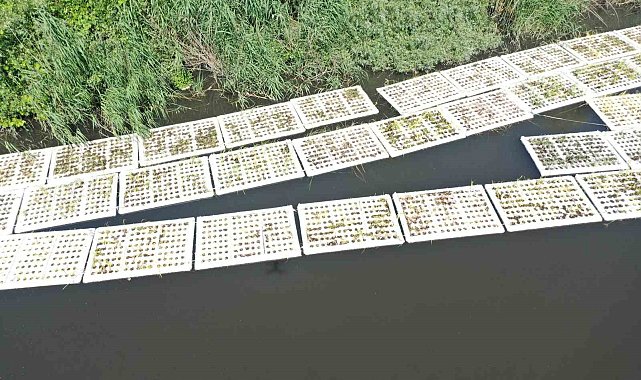 Marmara Denizi'ni besleyen derelerde "Yüzer Ada Projesi" hayata geçirildi