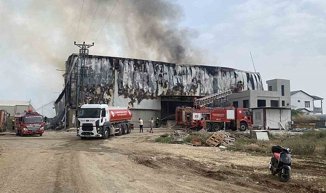 Mersin'de pamuk fabrikasında yangın, ekipler müdahale ediyor