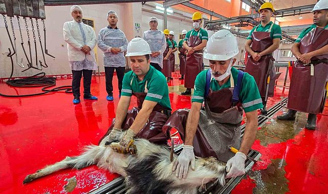 Mersin'de şehitlerin anısına kurban kesildi