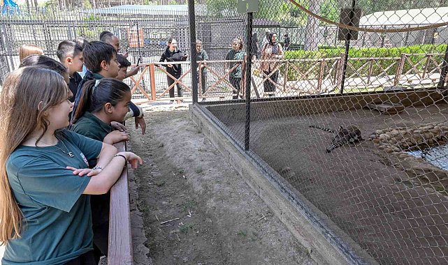 Mersin'deki 'Minikbüs Projesi' çocuklara gezi ve öğrenme yolculuğu sunuyor