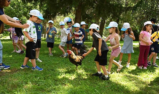 Minik eller Denizli Horozu üretimini öğrendi