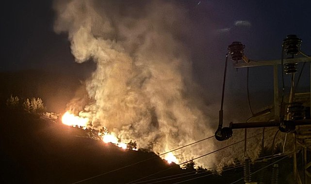 Nazilli'de orman yangını