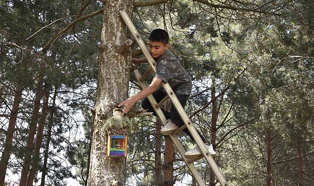 Öğrenciler atık su bidonlarından kuş yuvası yapıp millet bahçesine astı