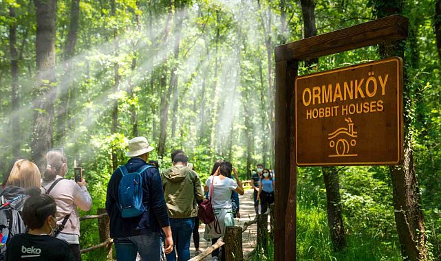 Ormanya'da yaz hazırlıkları tamamlandı