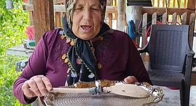 Parmak büyüklüğünde geyik böceği görüldü: Cezası 557 bin TL