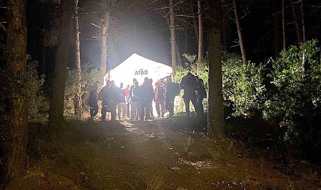 Pendik'te ormana girdikten sonra kaybolan şahıs bulundu