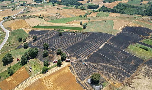 Sakarya'da 150 dönümlük tarım arazisi kül oldu