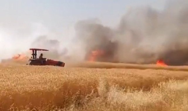 Şanlıurfa'da buğday tarlasında çıkan yangın kontrol altına alındı