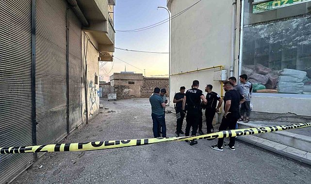 Şanlıurfa'da operasyonla yakalanan 3 cinayet şüphelisi tutuklandı