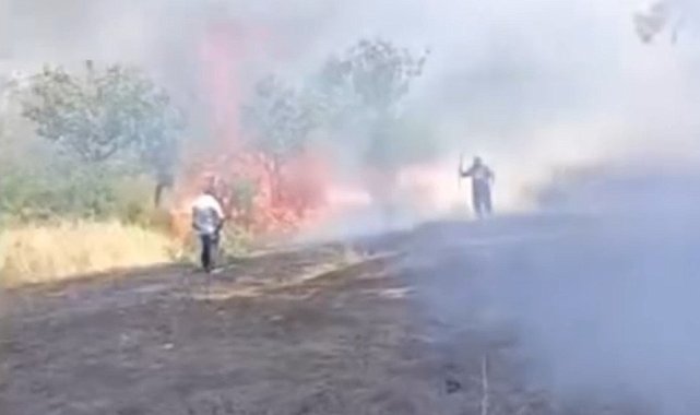 Siirt'te çay için yakılan ateş fıstık ağaçlarını küle çevirdi