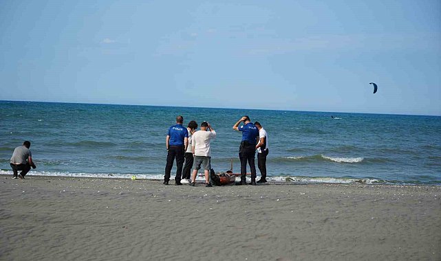 Şimşek İHA Samsun'da sahile vurdu