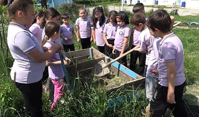 Sinop'ta çevreci eğitim modeli