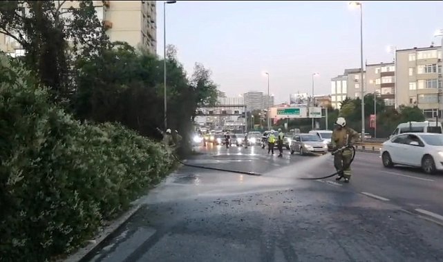 Şişli'de ağaçlık alanda çıkan yangın korkuttu